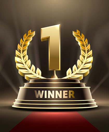 Excellence in Project Delivery